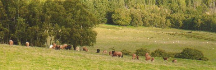 Arndilly Estate Farming and Shooting