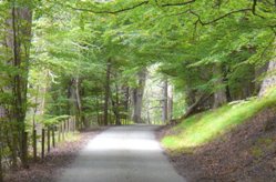 Arndilly Estate Speyside Weddings, Events, Farming and Shooting