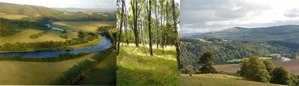 Speyside Plots for sale River Spey Arndilly Estate Craigellachie